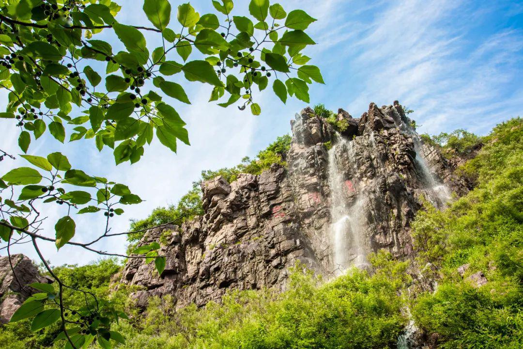 万安山山顶公园对洛阳市民免门票,还有万亩槐花等你摘