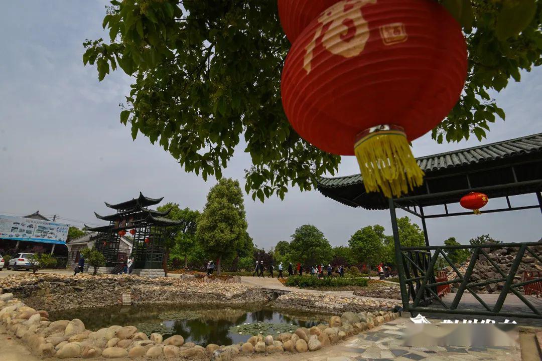 荆州区委书记区长周末带团为您推介最美乡村打卡地