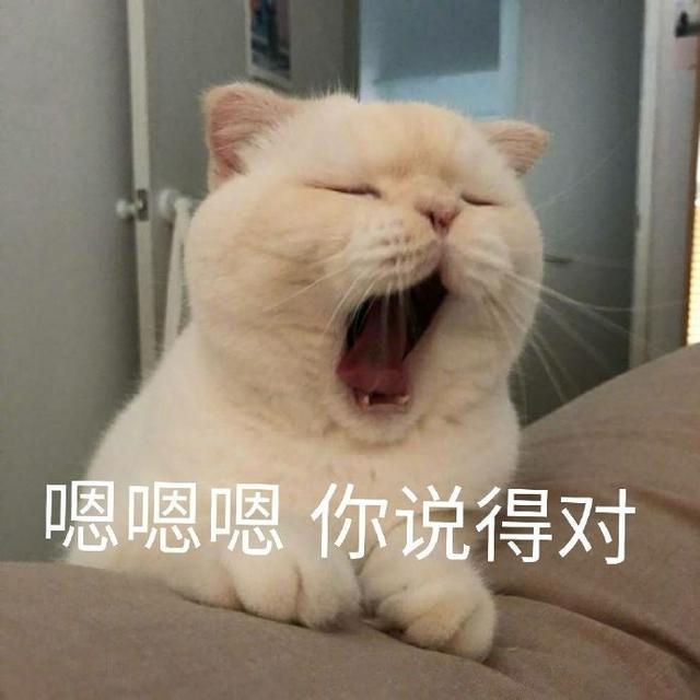 嗯嗯嗯,你说得对