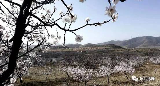 涿鹿县卧佛寺村人口(2)