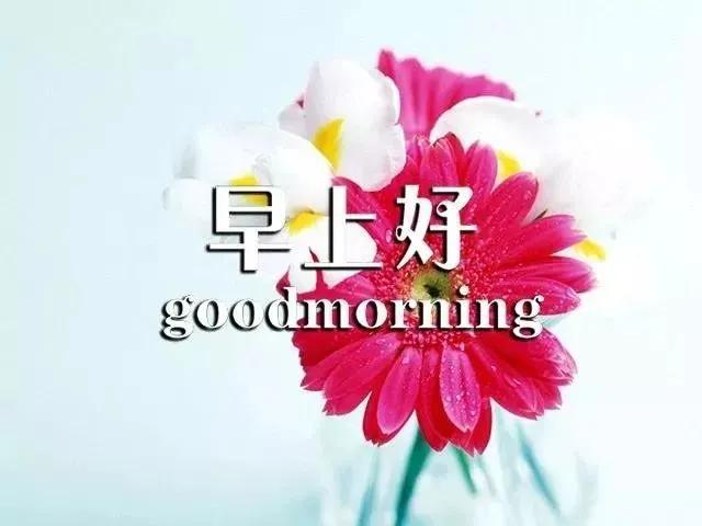 140b991b5cc24b5995e527499e9a7975.jpeg