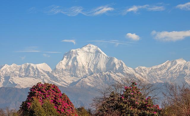 高山排名_高山风景图片