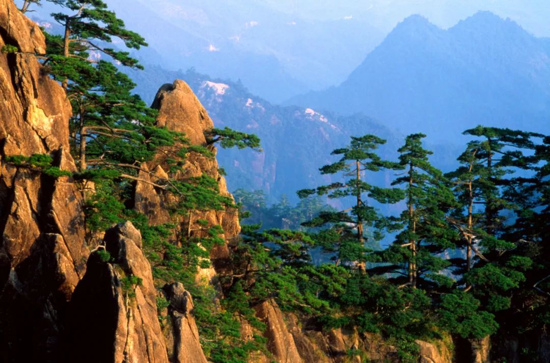 请教高人（安徽黄山是低风险地区吗）