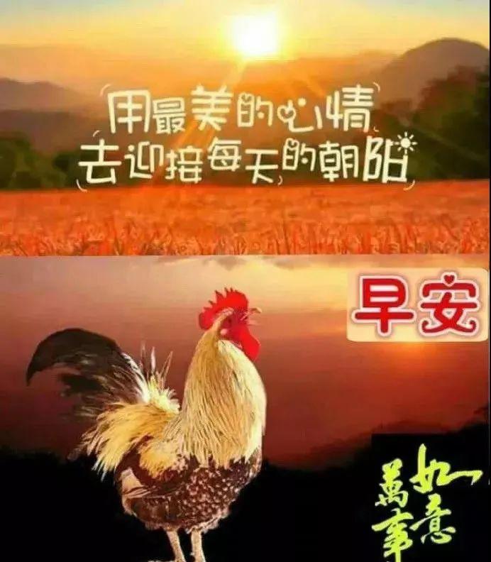 4月26日周日群发早上好问候祝福动态表情图片 4月最美