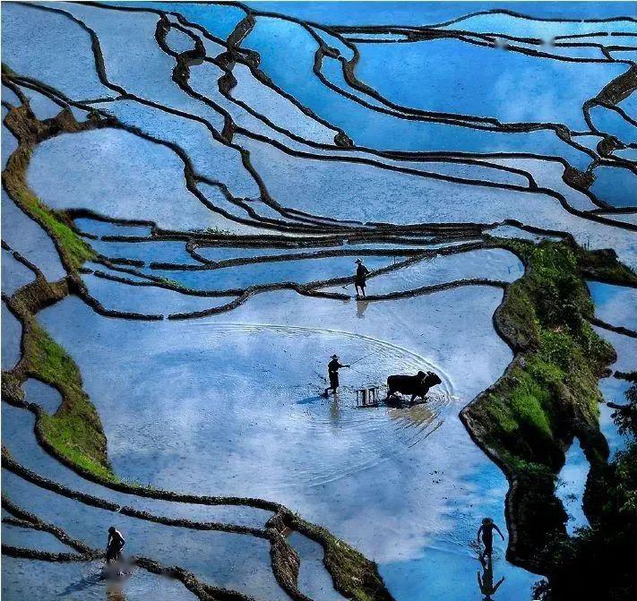 丽水市2019年gdp是多少_丽水市地图(2)