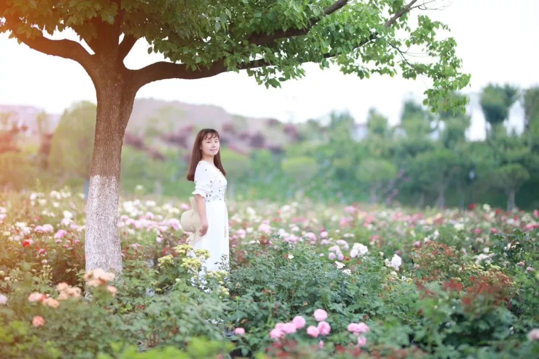 花园怎么拍视频 29eb3056cbb049dfa147afabd71a7f16.jpeg