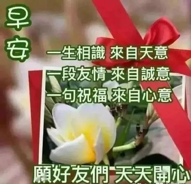 全新周末祝福语动态表情包图片 早上好的问候句子祝福