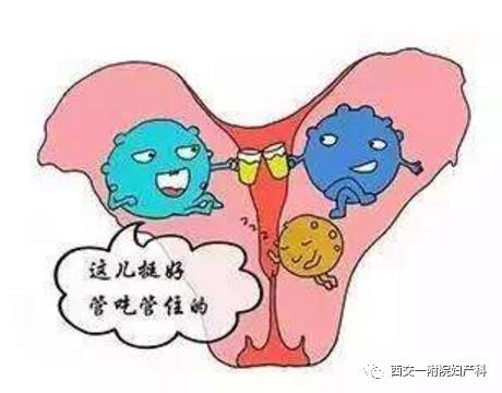 为什么会得阴道疾病 34a3f84b109647c08d0bb5d6d642ac1e.jpeg