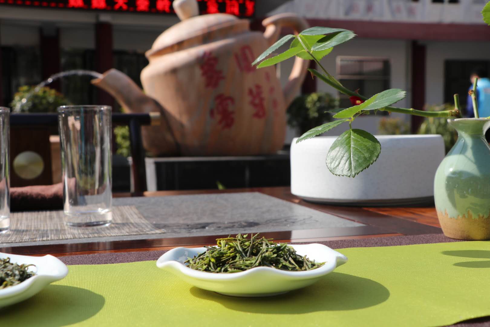 陕茶代言人走进茶香商洛 新媒体助力陕茶推广
