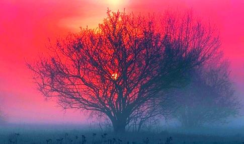 怎样变得更加阳光 3924701ad064494cbfd2e1021f10f740.jpeg