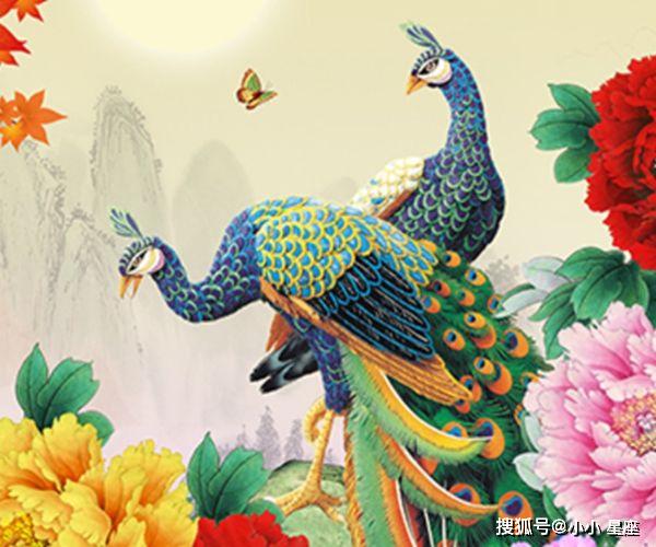 女命多金头像代表什么