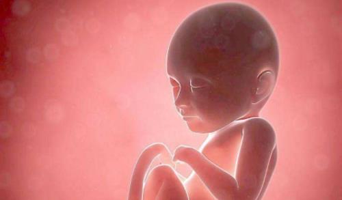 几个月胎儿发育完全 572b258669f94badbe8957a567e6b681.jpeg