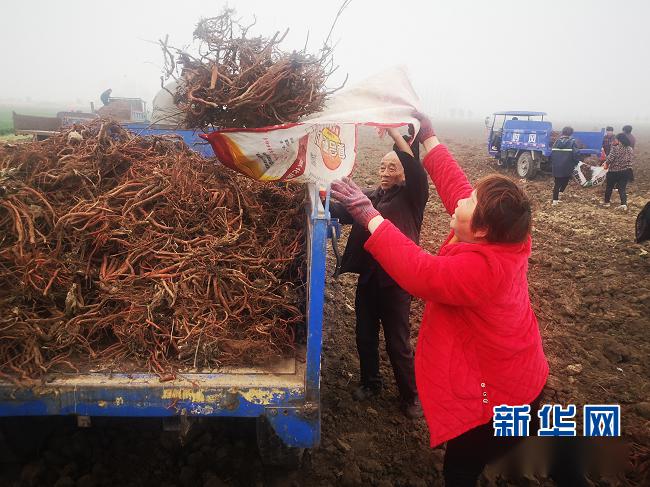 雷集镇人口_雷集镇中学(3)