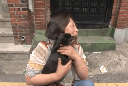 韩国一段狗狗走丢后又和主人重逢的视频，在网上疯传