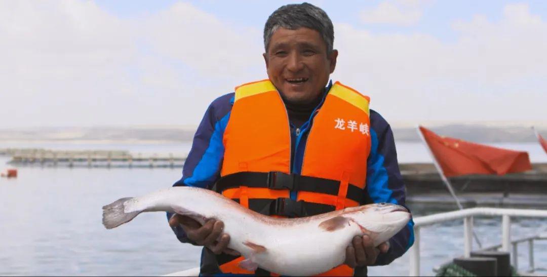 【龙羊峡三文鱼】活在北大西洋海域的冷水鱼远渡重洋,却在青藏高原上