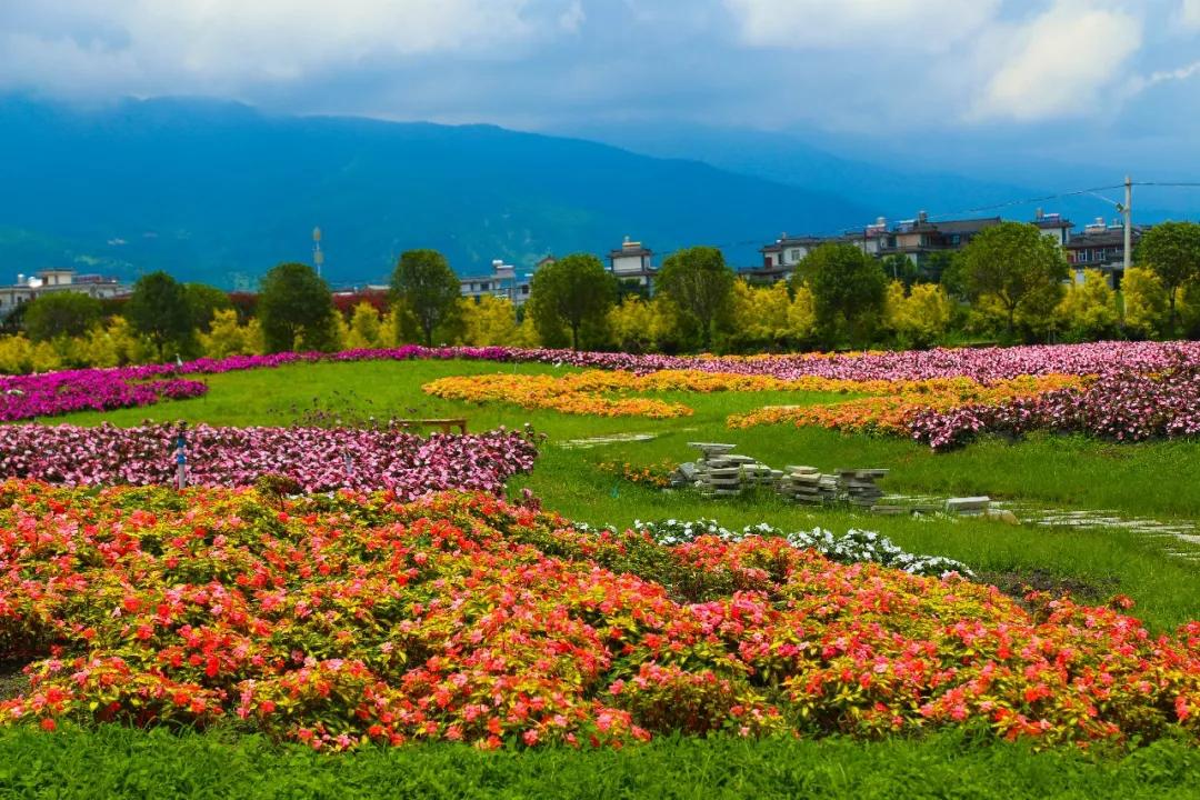 带走云南在大理看山川湖海亲吻海风徜徉花海