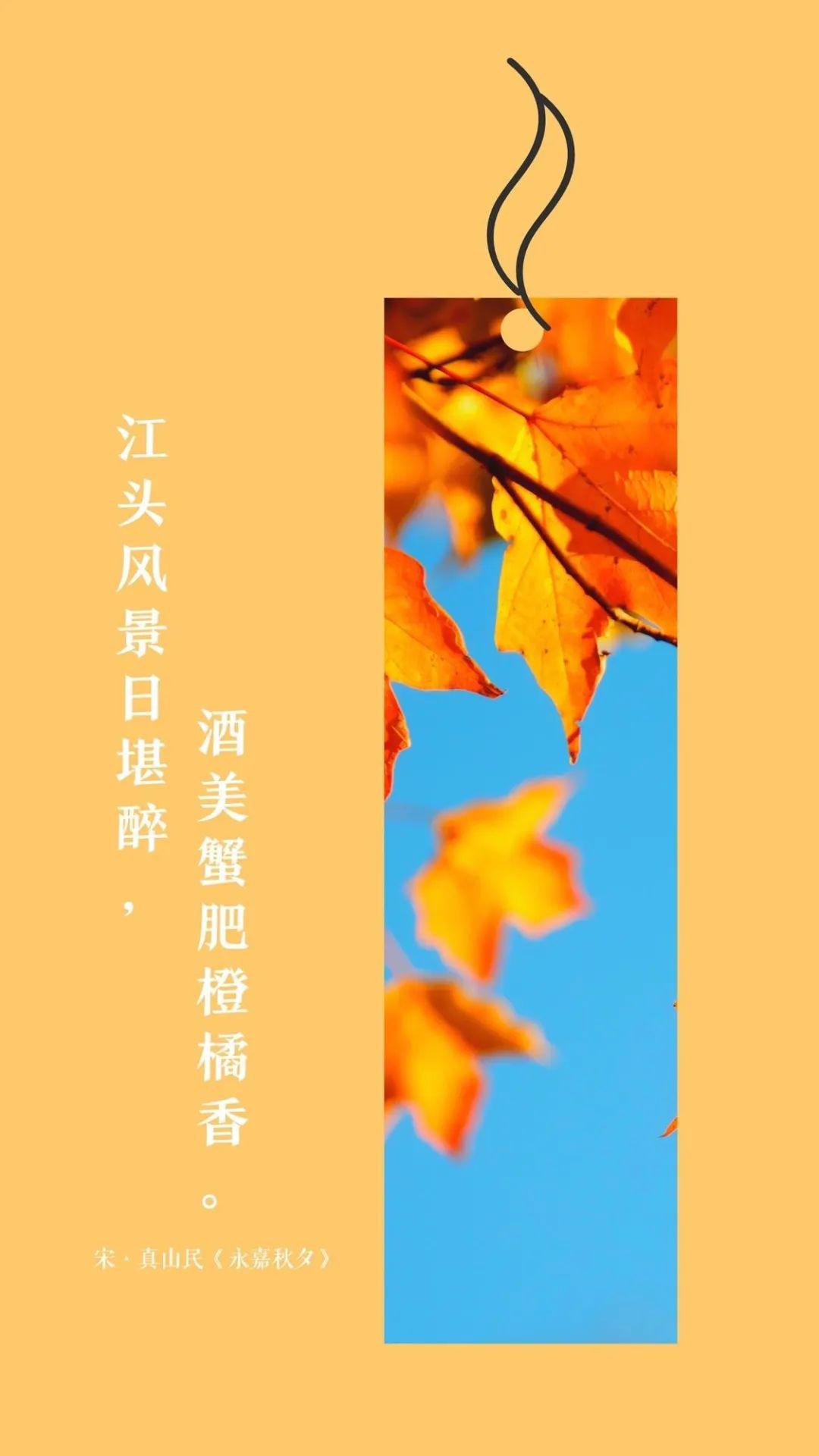 7087ed1d740445988cfcb12b96655eb9.jpeg