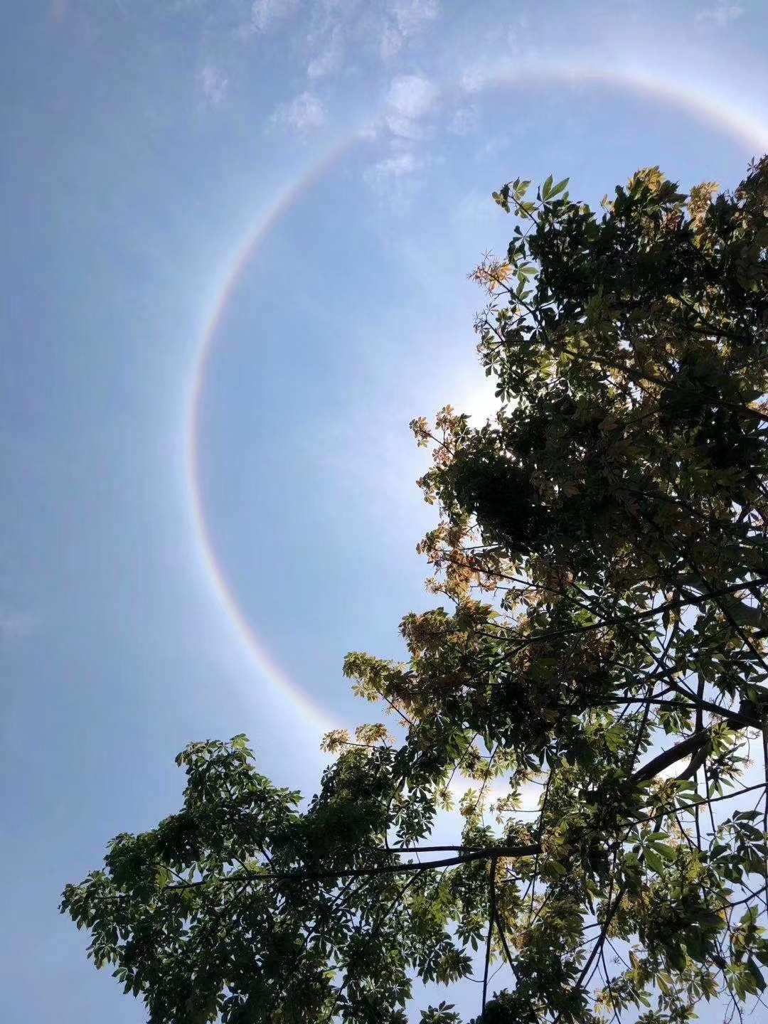 苍穹之眼,福建多地出现日晕奇观,天空自带美瞳