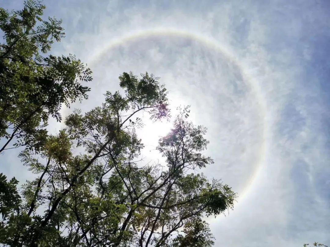 附视频今天河池惊现奇观刷爆朋友圈