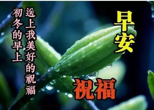 2020春季暖心早上好早安图片带字,关心朋友的早安问候