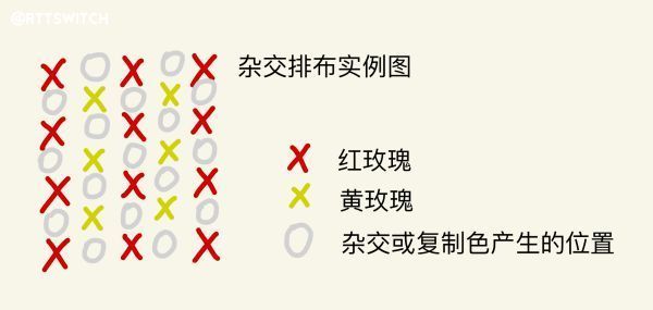 什么什么异卉成语_成语异影图形(3)
