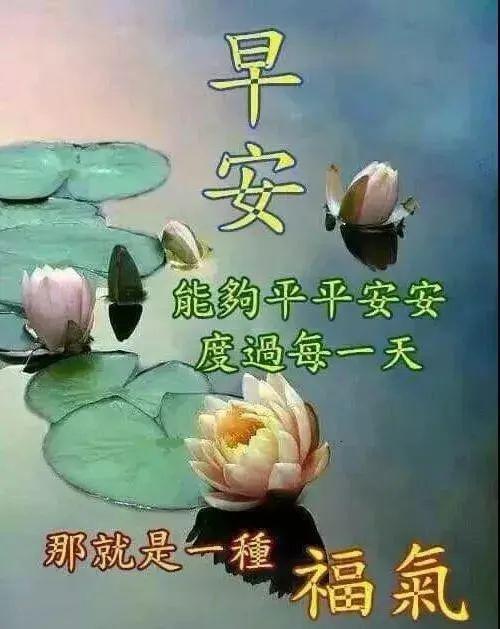 特别漂亮的早上好图片动态早上好图片大全新的一天愉快的心情陪伴你