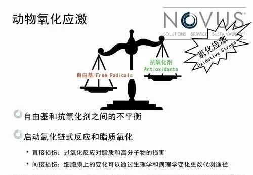 自由基的产生和危害 986565be7d804773be67a28f4a26a2c4.jpeg