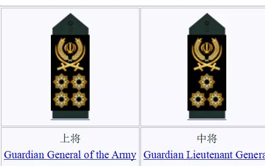 另外,我们也要知道,伊朗其实设置了3星和4星的将军军衔的,只不过这2种