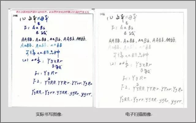 『电脑』这些细节你一定要注意高考电脑阅卷现场照片曝光
