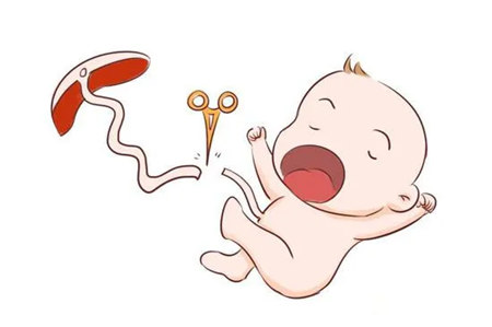 「妈妈」到底是妈妈痛还是宝宝痛？剪脐带时