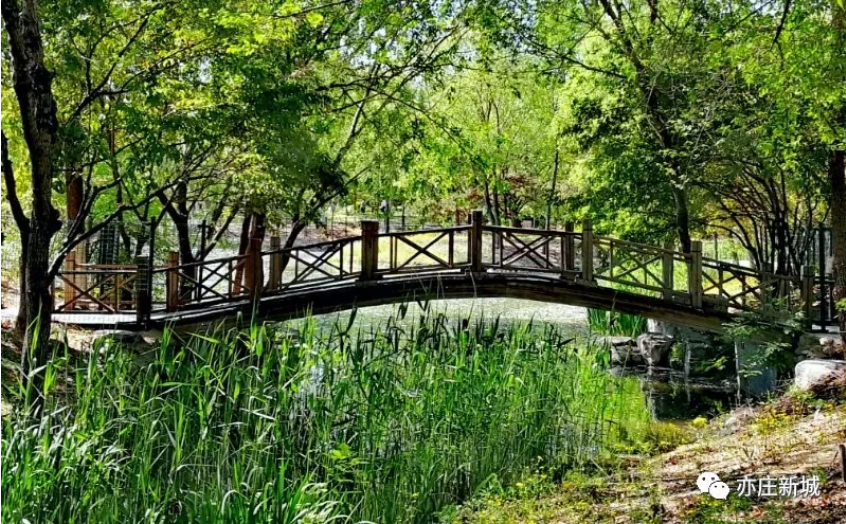 免费公园 旺兴湖郊野公园颇有江南风 小桥流水 曲径通幽 离亦庄不远