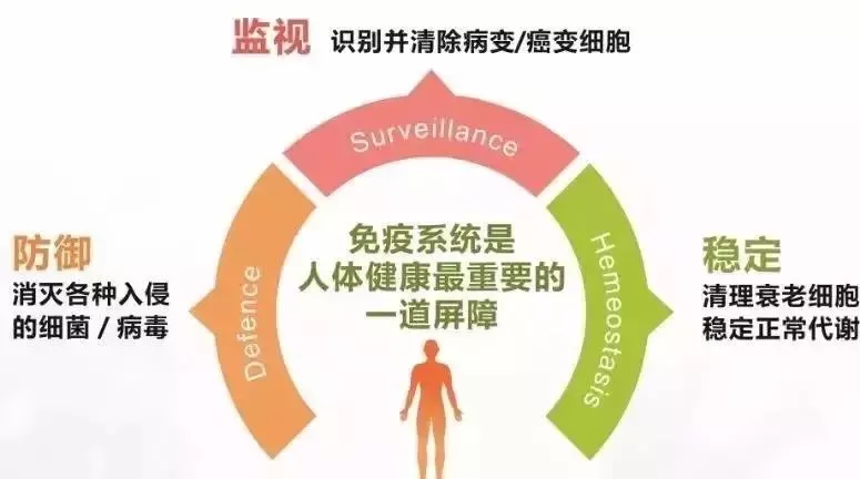 ac18d0c5400b43b69834e1a863c1f4c3.png
