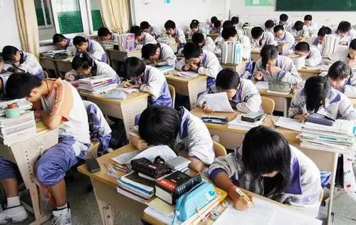 江苏省高中排名排名_江苏莴苣叶和广东排名q排名Q菜