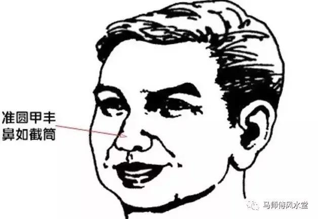 必能财运亨通,鼻头主财来之多寡,两旁之小鼻主守财的能力,故当要互相