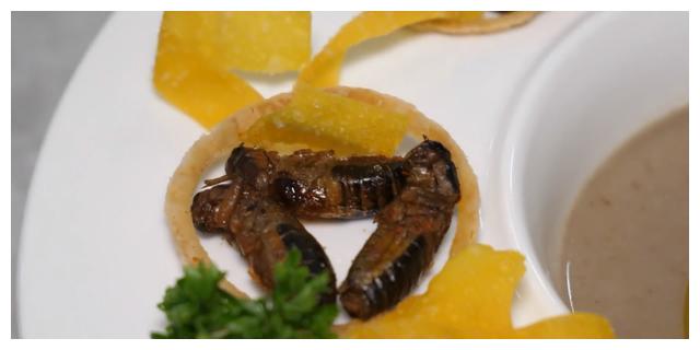 c9610800a6da4e2786ad3feb7b6993f2.jpeg