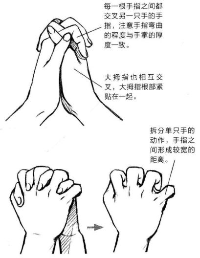 手指伸直,指腹贴在一起,整个形态呈三角形(如下图左).