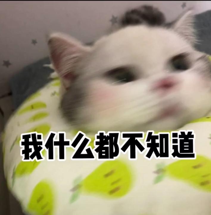 d2f6f4a28bc849d9b52210056531436a.jpeg