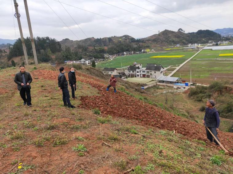 原创新时代发展网黄平县旧州镇土里栽下致富苗农民走上小康路