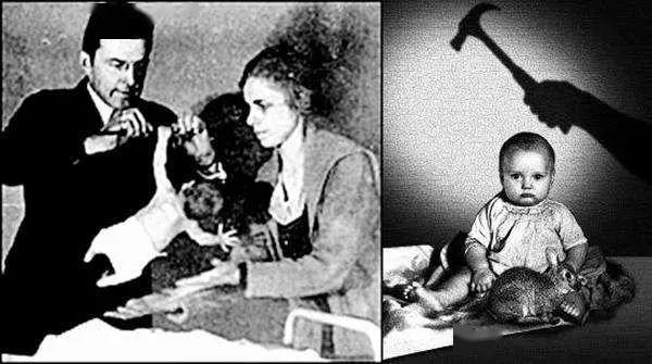 「孩子」赶紧退出这种「家长培训群」！3个月女婴死亡