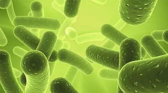 吃什么东西能补钙最快最有效 f2336f7aa73745f292b409116304d5a8.jpeg