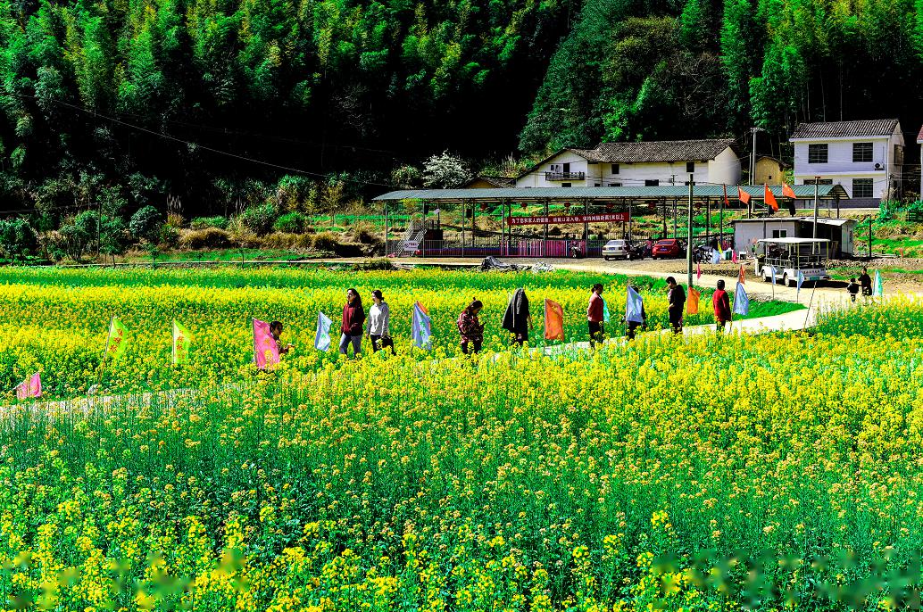 长沙唯一浏阳市张坊镇田溪村入选全省文化和旅游扶贫示范村