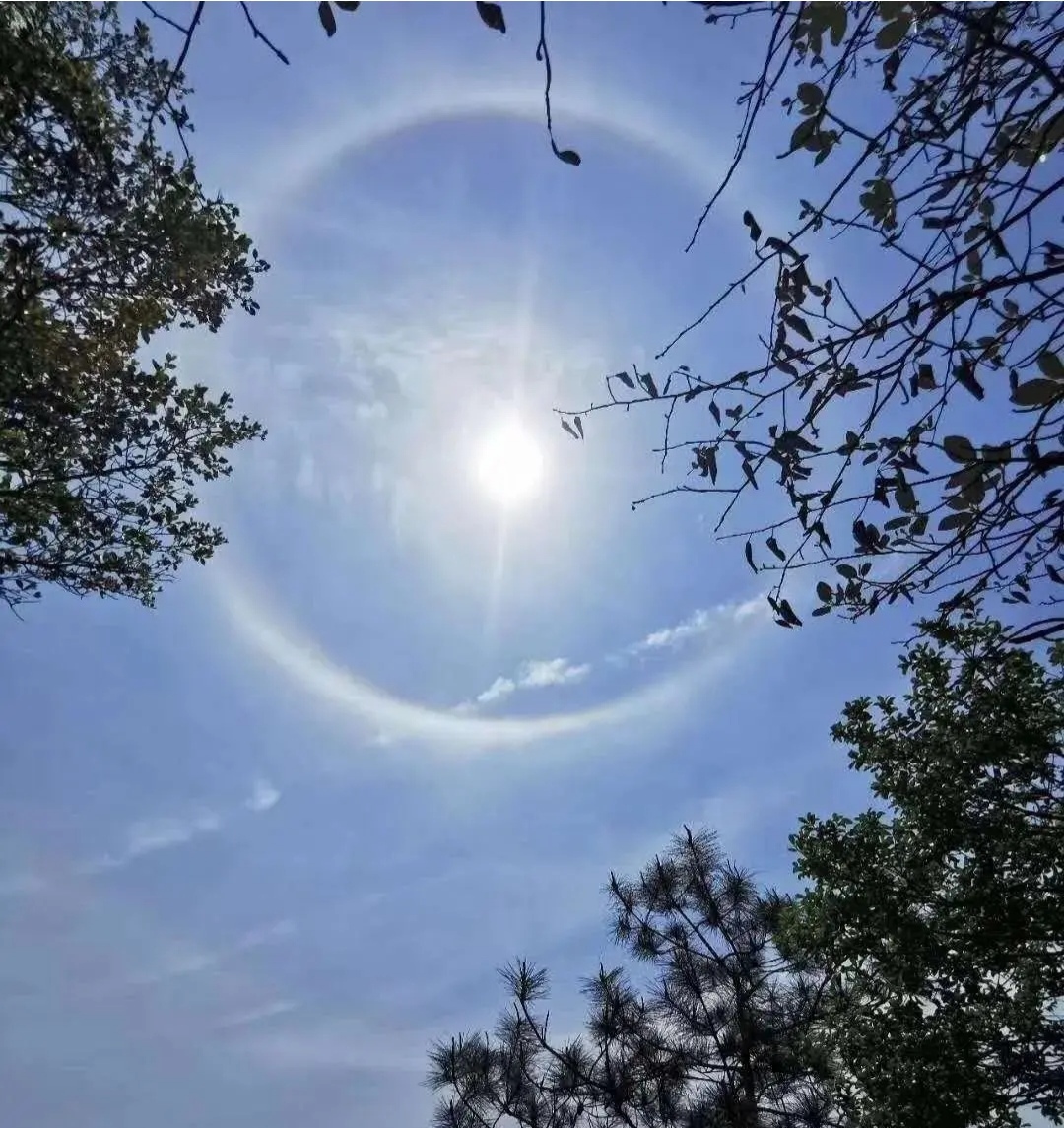 苍穹之眼,福建多地出现日晕奇观,天空自带美瞳