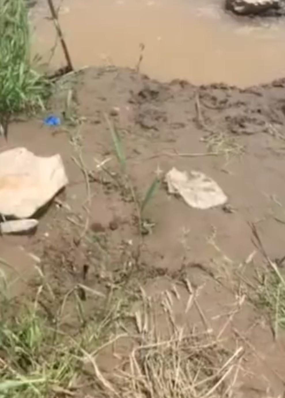 湖南女大学生被同村男杀害 凶手是撞“运气”