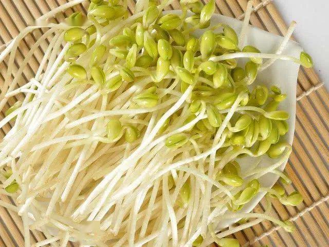 这些"芽菜王",千万别错过!经常吃,养肝益肾身体佳