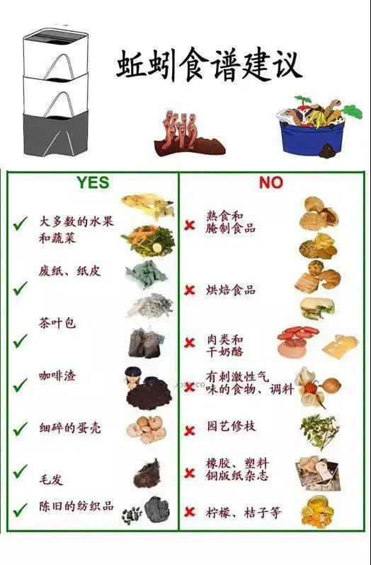 mqfj在线小学堂第59期蚯蚓日记