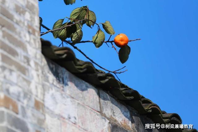 「水利工程」但特色专业享誉业内值得报考河南这八所普通高校分数不高