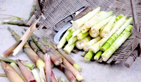 笋是苦的还是甜的 2edb1aa9c2c94ca585c0076dd7f9ff92.jpeg