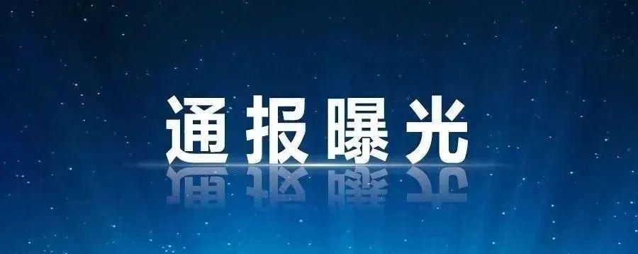 中央纪委国家监委通报八起形式主义官僚主义典型问题