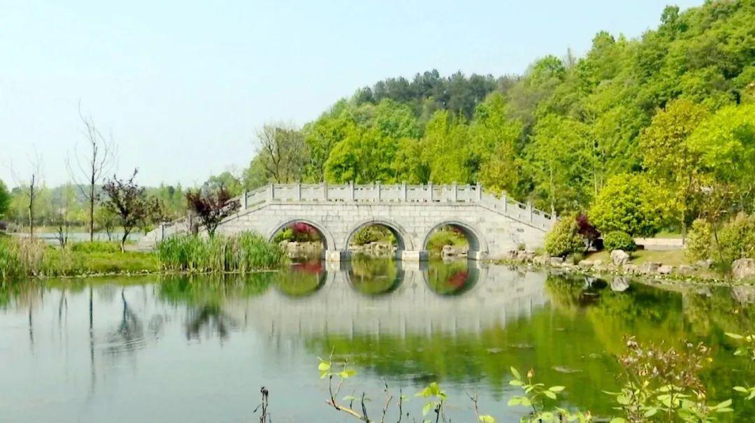深溪莲池湿地公园即将打造婚纱基地,水上乐园,户外运动._遵义市