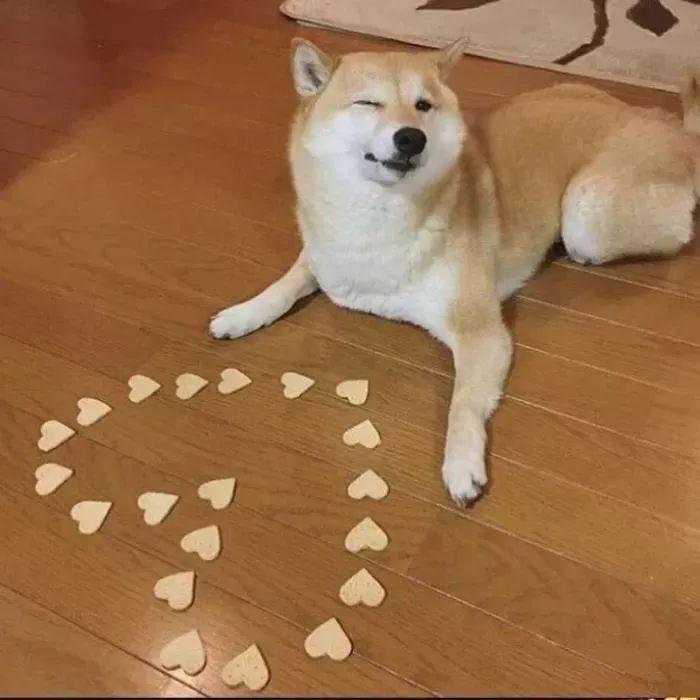 3231fdabe9dd4e9d99ab70c2d2bc8615.jpeg